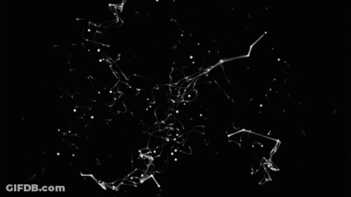 A Cluster Of White Lines And Dots On A Black Background GIF