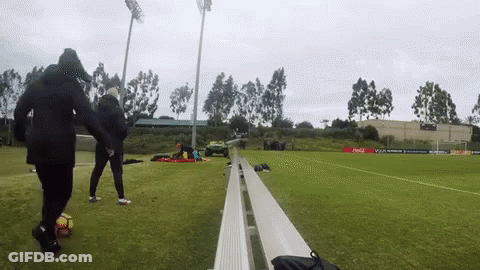 A Coca Cola Sign Is On The Side Of A Field GIF