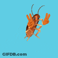 A Cockroach Giving A Peace Sign With Its Hands GIF
