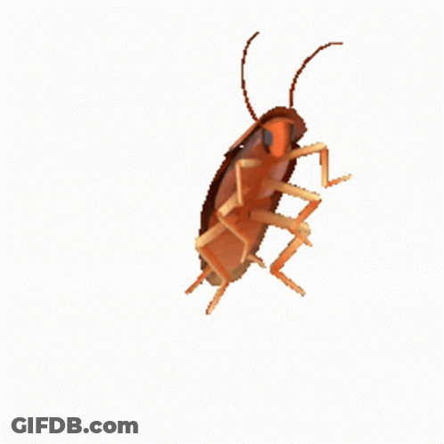 A Cockroach Is Crawling Across A White Background GIF
