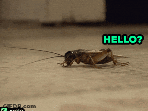 A Cockroach Is Crawling On The Ground With The Word Hello Written Above It GIF