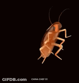 A Cockroach Is Dancing On A Black Background In A 3D Model . GIF