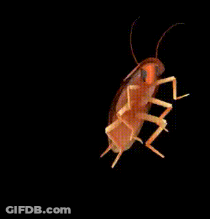 A Cockroach Is Dancing On A Black Background In A 3D Model . GIF