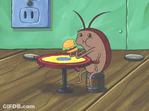 A Cockroach Is Eating A Hamburger On A Table GIF