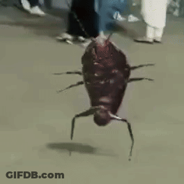 A Cockroach Is Hanging From A String On The Ground GIF