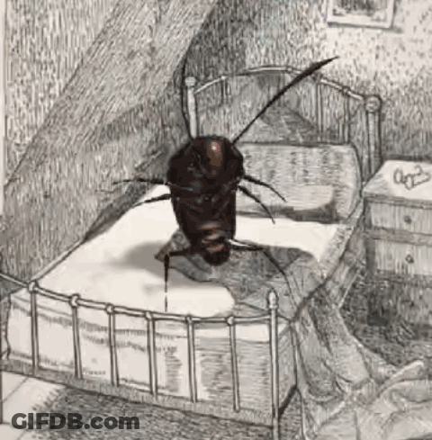 A Cockroach Is Sitting On A Bed In A Drawing GIF