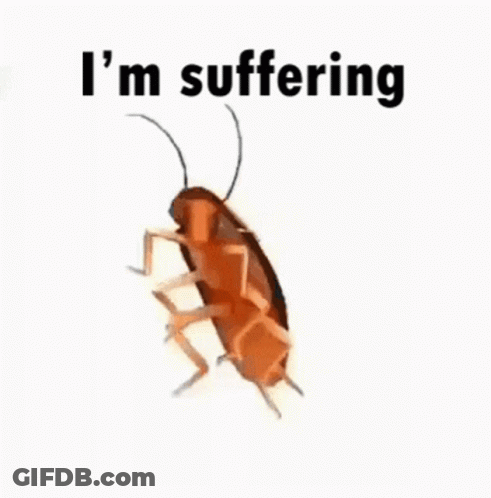 A Cockroach Is Sitting On A White Surface With The Words `` I 'M Suffering '' Written Above It . GIF