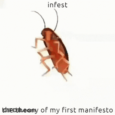 A Cockroach Is Sitting On A White Surface With The Words `` Infest The Theory Of My First Manifesto '' Written On It . GIF