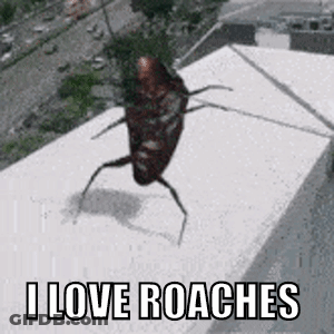 A Cockroach Is Standing On A Ledge With The Words `` I Love Roaches '' Above It . GIF
