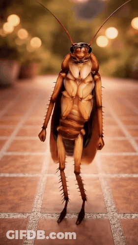 A Cockroach Is Standing On A Tiled Floor And Looking At The Camera GIF