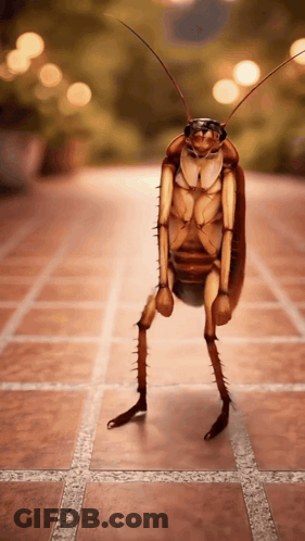 A Cockroach Is Standing On A Tiled Floor Wearing Sunglasses GIF