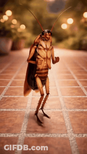 A Cockroach Is Standing On Its Hind Legs On A Tiled Walkway GIF