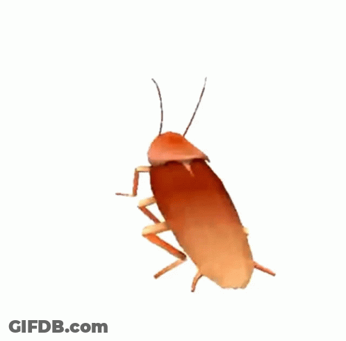 A Cockroach On A White Background Looks Like A Cartoon Character GIF