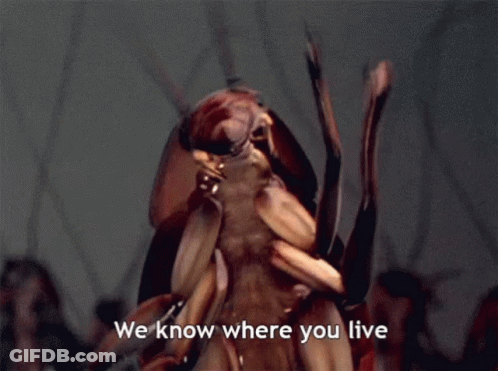 A Cockroach Says " We Know Where You Live " GIF