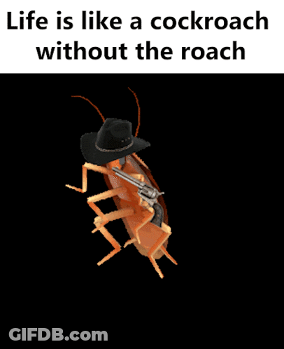 A Cockroach Wearing A Cowboy Hat Holding A Gun GIF