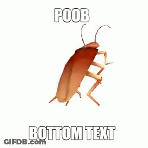 A Cockroach With A Caption That Says Poob Bottom Text GIF