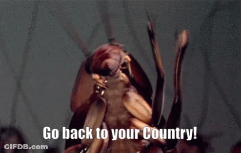 A Cockroach With The Words Go Back To Your Country Written On It GIF