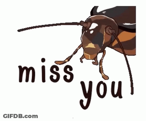 A Cockroach With The Words `` Miss You '' Written Next To It GIF