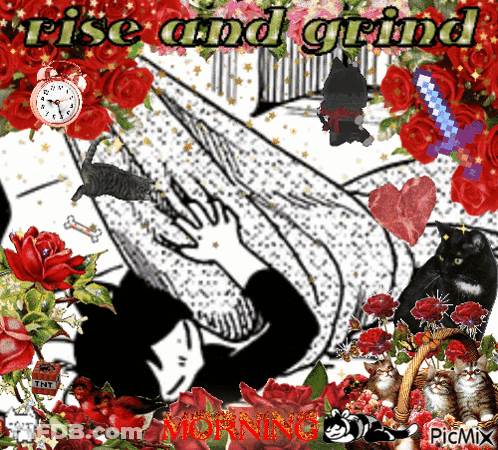 A Collage Of Cats And Roses With The Words Rise And Grind Morning GIF