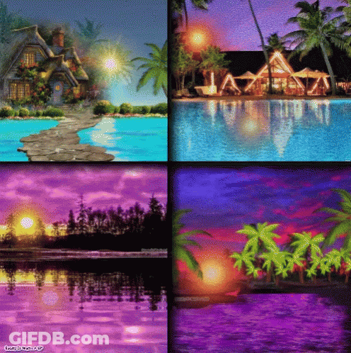 A Collage Of Four Pictures Of A House Swimming Pool And Palm Trees With A Watermark That Says Terry O'neill Ap GIF