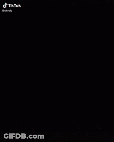 A Collage Of Images Of A Man With A Beard And A Dog With The Words Tik Tok At The Top GIF