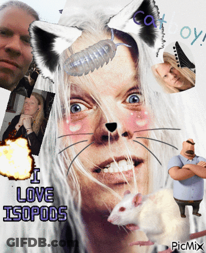 A Collage Of Images With The Words I Love Isopods At The Bottom GIF