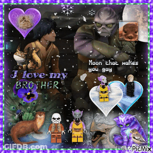 A Collage Of Images With The Words I Love My Brother GIF
