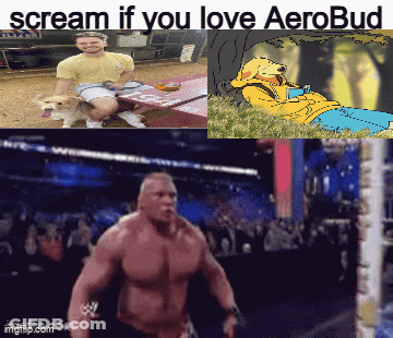 A Collage Of Images With The Words Scream If You Love Aerobud GIF