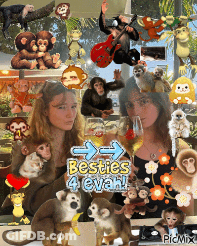 A Collage Of Monkeys And Two Girls With The Words Besties 4 Evah GIF
