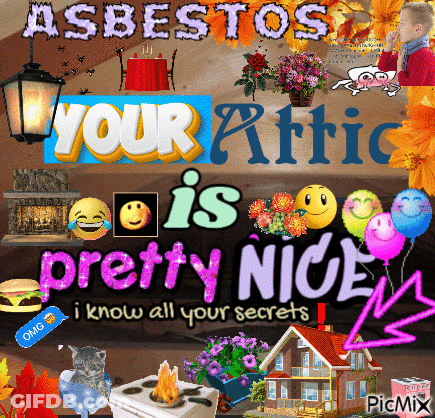 A Collage Of Pictures With The Words Asbestos Your Attic Is Pretty Nice GIF