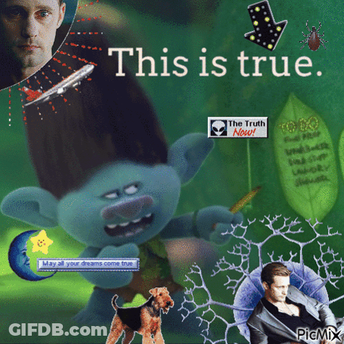 A Collage Of Trolls And A Man With The Words This Is True GIF