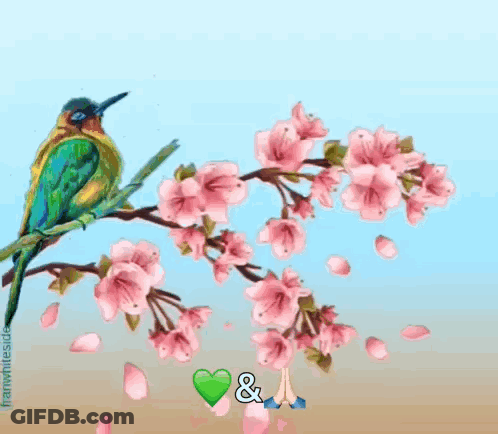 A Colorful Bird Is Perched On A Branch Of Cherry Blossoms With A Butterfly . GIF