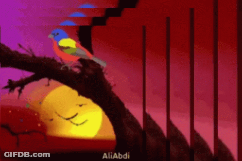 A Colorful Bird Is Perched On A Tree Branch With The Name Aliabdi On The Bottom Right GIF