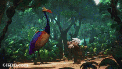 A Colorful Bird With A Long Neck Is Walking Through A Jungle GIF