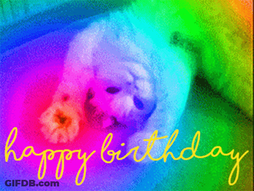 A Colorful Birthday Card With A White Dog And The Words Happy Birthday GIF