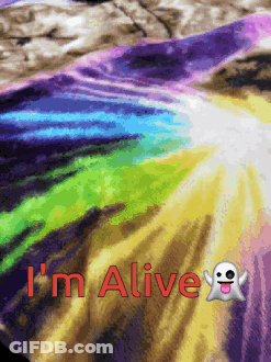 A Colorful Blanket With The Words I 'M Alive And A Ghost GIF