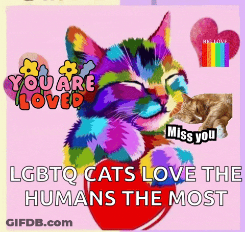 A Colorful Cat Is Holding A Red Heart With The Words " You Are Loved " On It GIF