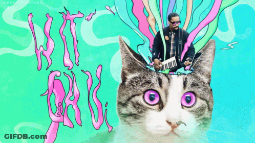 A Colorful Drawing Of A Cat With A Man Playing A Keyboard And The Words Wind Cat Written In Pink GIF