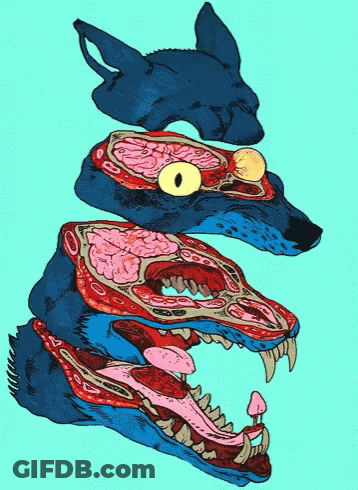 A Colorful Drawing Of A Wolf 'S Head With A Brain And Mouth GIF