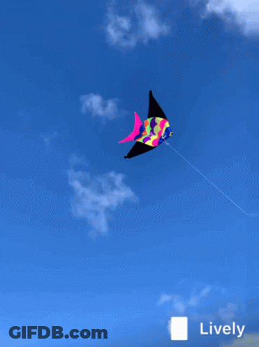 A Colorful Fish Kite Is Flying In The Blue Sky GIF