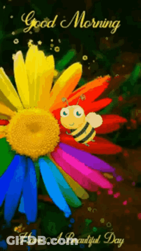 A Colorful Flower With A Bee On It And The Words Good Morning And Have A Beautiful Day GIF