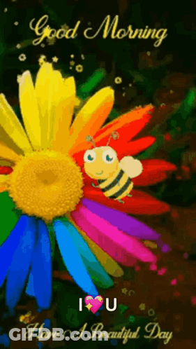 A Colorful Flower With A Bee On It And The Words `` Good Morning I Love U '' GIF