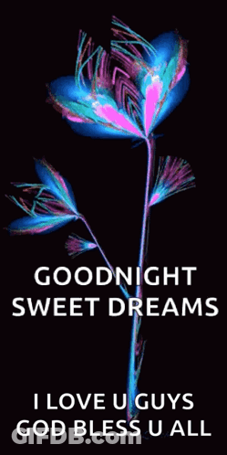 A Colorful Flower With The Words Goodnight Sweet Dreams I Love U Guys God Bless U All Below It GIF