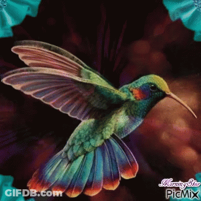 A Colorful Hummingbird With A Long Beak Is Flying In The Air GIF