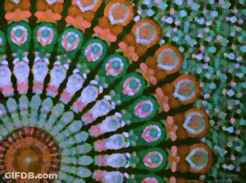 A Colorful Kaleidoscope With Circles And Dots On A Black Background GIF
