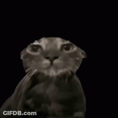 A Colorful Painting Of A Cat Against A Rainbow Background GIF