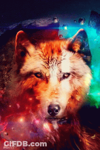 A Colorful Painting Of A Wolf With A Galaxy Background GIF