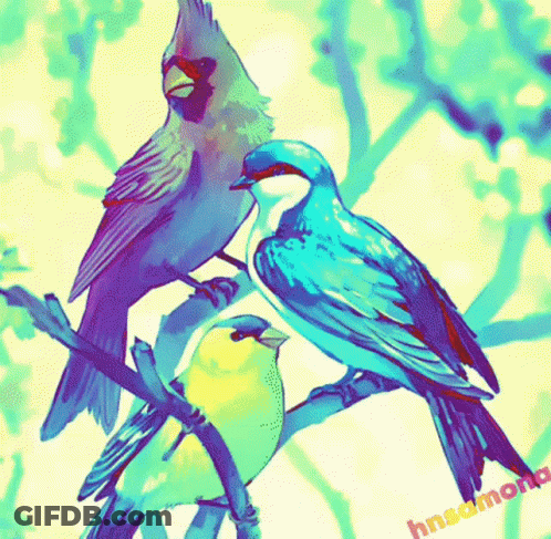 A Colorful Painting Of Three Birds With The Name Hnsdmona Written Below Them GIF