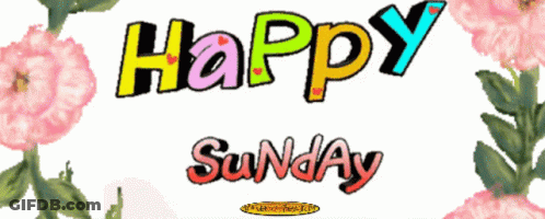 A Colorful Sign That Says Happy Sunday With Pink Flowers In The Background GIF