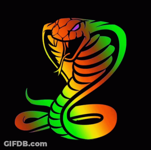 A Colorful Snake With Its Tongue Out On A Black Background . GIF